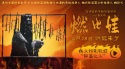 高清影视