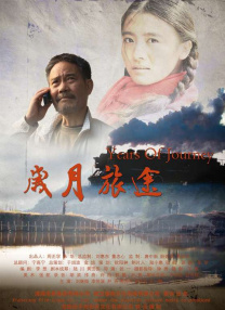 杜比视界