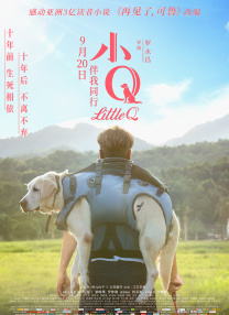 BD国语电影免费在线