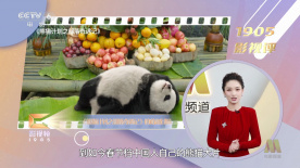 高清版在线观看